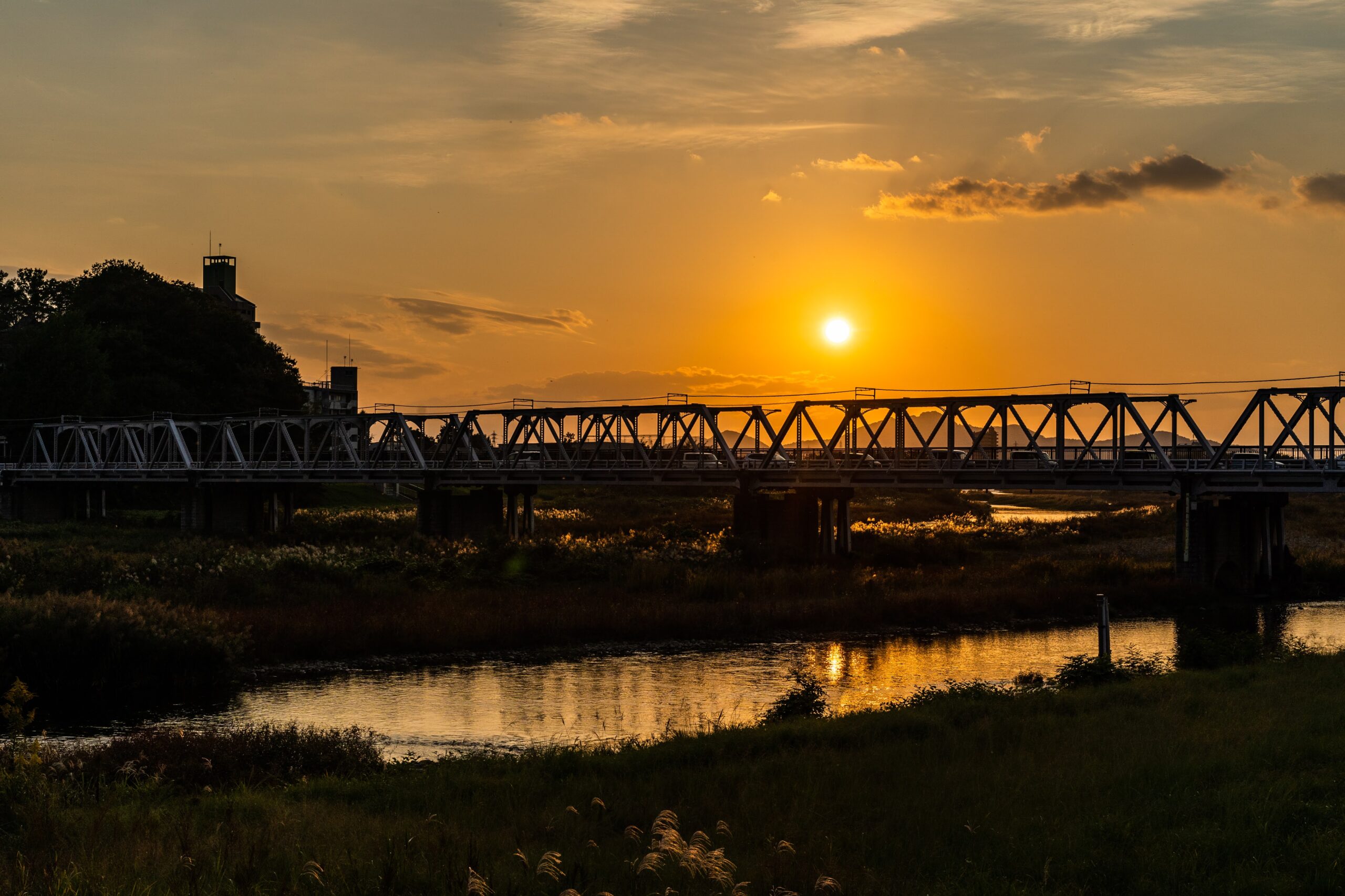 渡良瀬橋の様子を撮影した写真