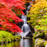 【2022年版】古峯神社 古峯園の紅葉が見頃ですよ♪【古峰ヶ原】