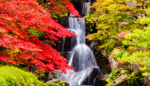 【2022年版】古峯神社 古峯園の紅葉が見頃ですよ♪【古峰ヶ原】