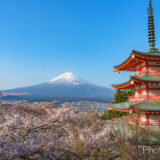 【春の絶景】富士山と桜を撮ってきた。【新倉山浅間公園】【河口湖畔】【椎名庄川】