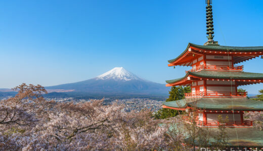 【春の絶景】富士山と桜を撮ってきた。【新倉山浅間公園】【河口湖畔】【椎名庄川】