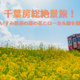 千葉房総絶景旅！小湊鐵道・いすみ鉄道の菜の花とローカル線を撮ってきた！