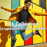 最新版Nik Collection 7: PhotoshopとLightroomのワークフローを革新するプラグイン