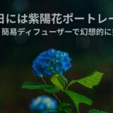 雨の日には紫陽花ポートレート ！ストロボ＆簡易ディフューザーで幻想的に撮る撮影術【作例・セッティング解説付き】